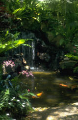 lomi lomi massage in Denver Colorado